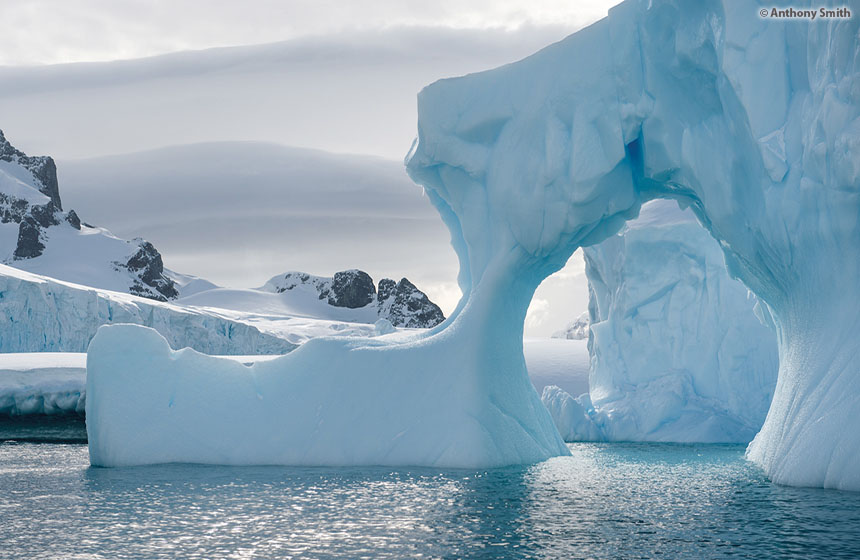 Antarctic_2021_01_Abenteuer und Wildtiere